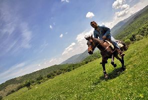 Еднодневен конен тур в полите на Родопите с дегустация на вино