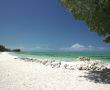 Остров Андрос - гмуркане от световна класа на Бахамите