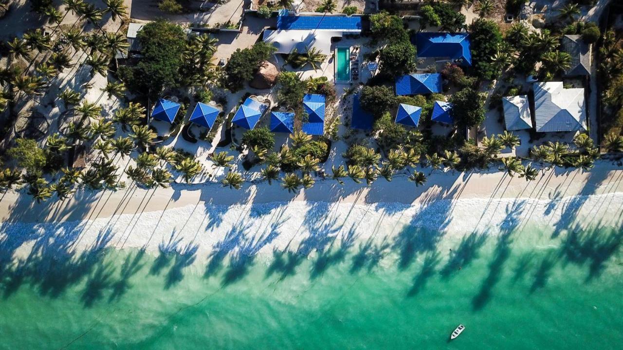 Indigo Beach Zanzibar - НОВА ГОДИНА 2025 в ЗАНЗИБАР - бижуто на Африка - чартър от София - 8 нощувки