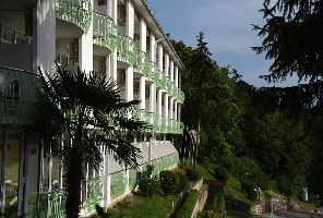 Нова  година в хотел Климетица*** - Охрид