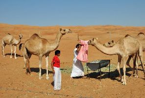 Живописният Оман - 8 дни