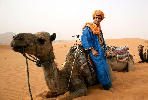II Farah Marrakech или подобен - Перлите на Мароко - Олекотен тур с полет от Варна до Танжер - 12.11.2024