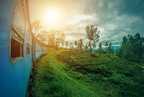 Екскурзия Шри Ланка – островът на удоволствията и подправките