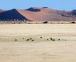 Скелетният бряг в Намибия